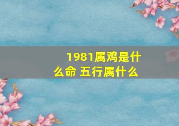 1981属鸡是什么命 五行属什么